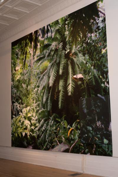 Exhibition Image